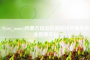 定西内蒙古自治区消防技术服务执业管理平台