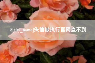 定西失信被执行官网查不到