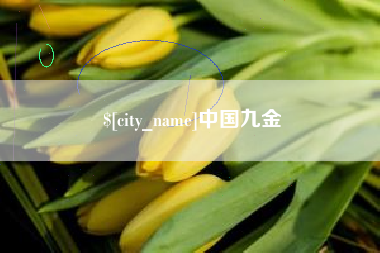 定西中国九金