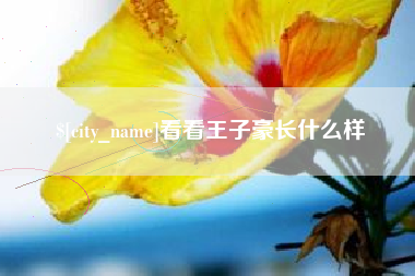 定西看看王子豪长什么样