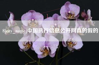定西中国执行信息公开网真的假的