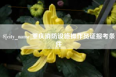定西重庆消防设施操作员证报考条件