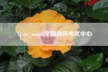 定西全国消防考试中心