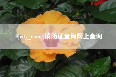 定西消防证查询网上查询