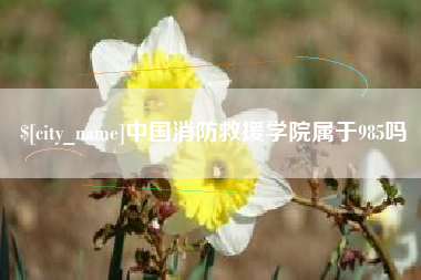 定西中国消防救援学院属于985吗