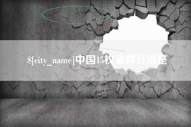 定西中国15枚金牌分别是