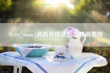 定西消防资格证怎么查询系统