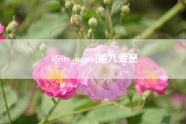 定西第九金是