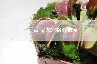 定西九宫格分布图
