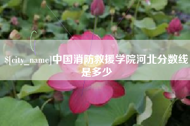 定西中国消防救援学院河北分数线是多少