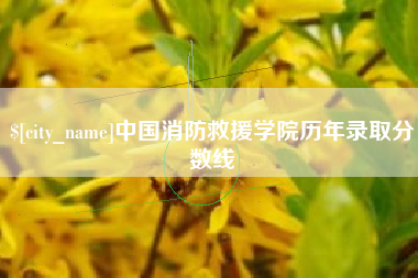 定西中国消防救援学院历年录取分数线