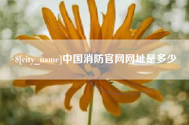 定西中国消防官网网址是多少