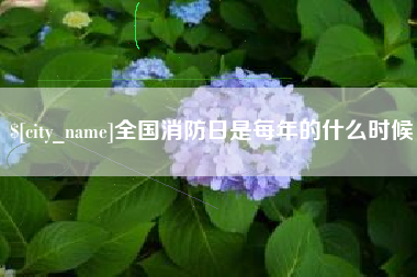 定西全国消防日是每年的什么时候