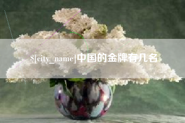 定西中国的金牌有几名