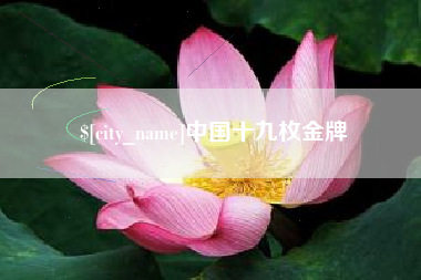 定西中国十九枚金牌
