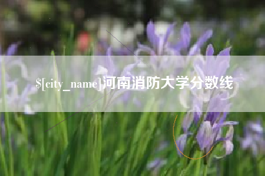 定西河南消防大学分数线
