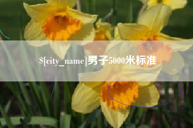 定西男子5000米标准