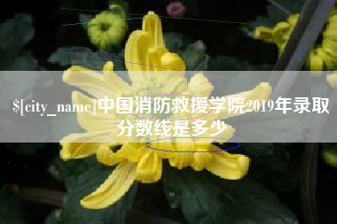 定西中国消防救援学院2019年录取分数线是多少