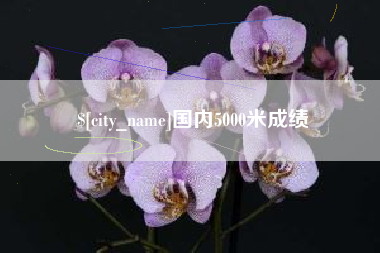 定西国内5000米成绩