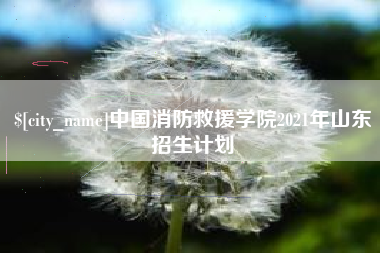 定西中国消防救援学院2021年山东招生计划
