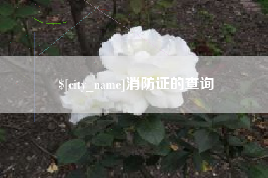 定西消防证的查询