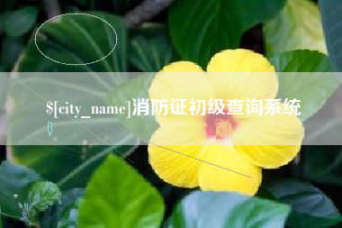定西消防证初级查询系统