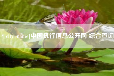 定西中国执行信息公开网 综合查询