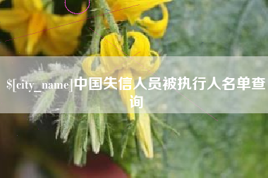 定西中国失信人员被执行人名单查询