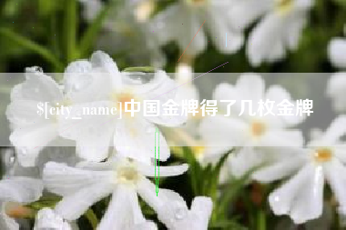 定西中国金牌得了几枚金牌