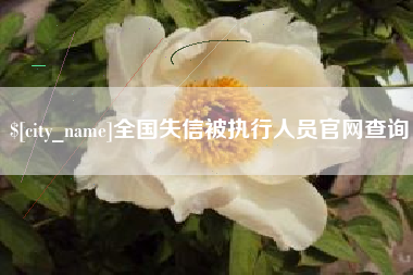 定西全国失信被执行人员官网查询