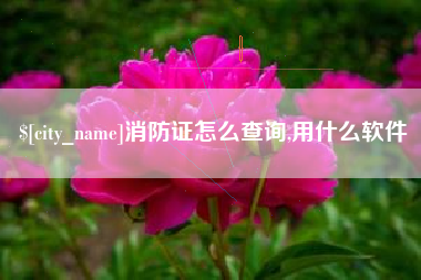 定西消防证怎么查询,用什么软件