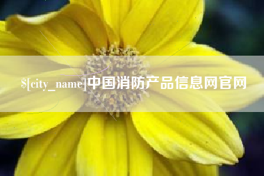 定西中国消防产品信息网官网
