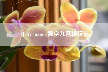 定西数字九宫格玩法