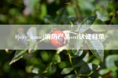 定西消防产品cccf认证目录