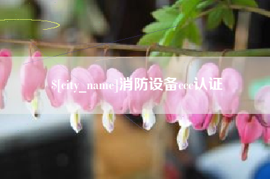 定西消防设备ccc认证