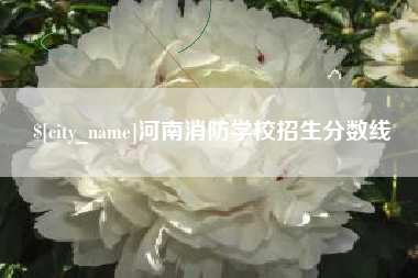 定西河南消防学校招生分数线