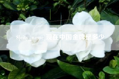 定西现在中国金牌是多少