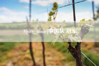 定西中国队 冠军