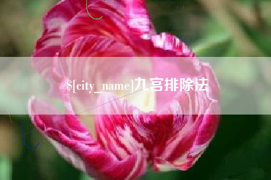 定西九宫排除法