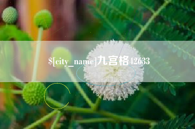 定西九宫格42633