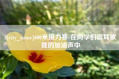 定西600米接力赛-在同学们震耳欲聋的加油声中