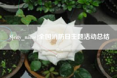定西全国消防日主题活动总结