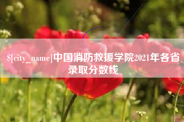定西中国消防救援学院2021年各省录取分数线