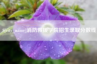 定西消防救援学院招生录取分数线