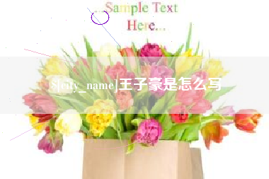 定西王子豪是怎么写