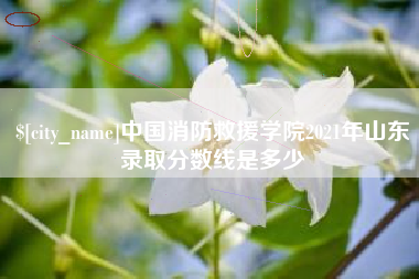 定西中国消防救援学院2021年山东录取分数线是多少