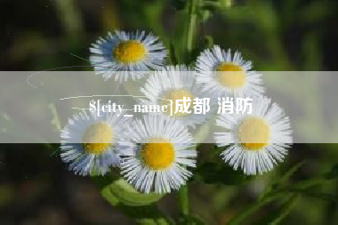定西成都 消防