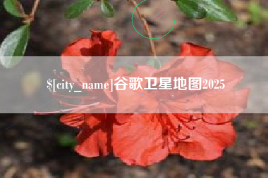 定西谷歌卫星地图2025