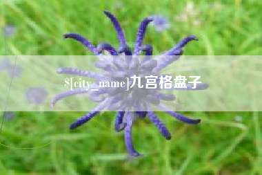 定西九宫格盘子