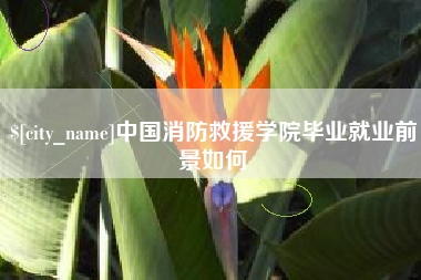 定西中国消防救援学院毕业就业前景如何